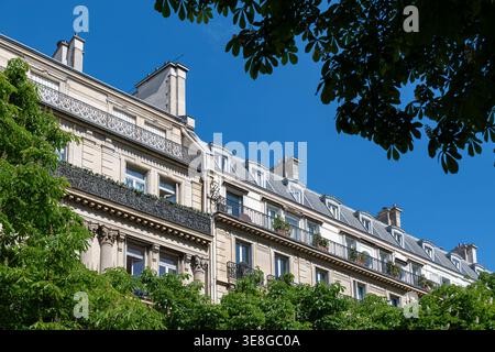 Facciate di edifici residenziali costruiti lungo un viale alberato di Parigi, Francia. Concetto di mercato immobiliare residenziale per abitazioni vecchie Foto Stock