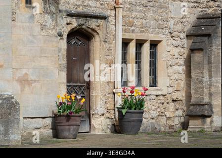 Dettaglio dell'edificio St Swithun's Quad al Magdalen College, Oxford, Regno Unito Foto Stock