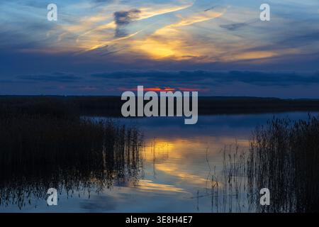 Tramonto su un lago calmo con canne in primo piano e riflessi colorati in Estonia. Tranquilla scena serale con texture naturali. Foto Stock