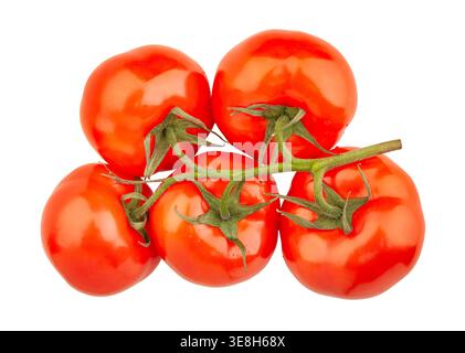 percorso del ramo di pomodoro isolato sulla vista dall'alto bianca Foto Stock