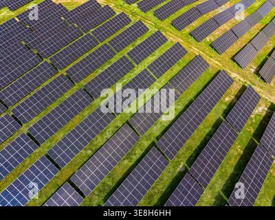 I pannelli solari coprono un'ampia area in un campo. Sono disposti in file ordinate, catturando la luce del sole. Tra i pannelli è presente erba. La scena mostra c Foto Stock