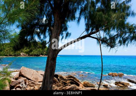Costa tropicale con rocce granitiche e acque turchesi sull'isola di Mahe, Seychelles Foto Stock