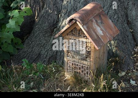Hotel di insetti in legno con tetto piastrellato sotto un albero in un ombreggiato giardino estivo Foto Stock