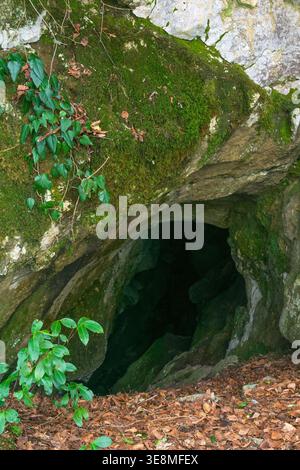 Grotta di pietra nella foresta con muschio verde e foglie cadute a terra Foto Stock