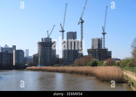 Blocchi di appartamenti in costruzione sulla riva occidentale del fiume Lea a Poplar, Londra est, Regno Unito. Vista dall'area naturale di Cody Dock. Foto Stock