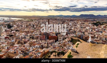 Alicante, Spagna - 20 gennaio 2026: Paesaggio urbano panoramico di Alicante con i quartieri urbani centrali e la catena montuosa della Sierra Fontcalent vista dal Monte Be Foto Stock
