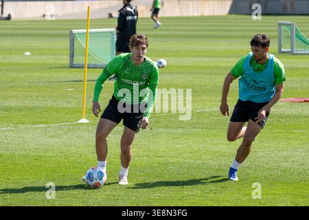 Zweikampf zwischen Florian Neuhaus (Borussia Moenchengladbach, #10) e Fabia Chiarodia (Borussia Moenchengladbach, #02). Oeffentliches Training Borussia Moenchengladbach auf dem Trainingsgelaende am Borussia Park, 1. Bundesliga, Fussball, Saison 2025/2026, 15.04.2026 foto: Eibner-Pressefoto/Thomas Haesler Foto Stock