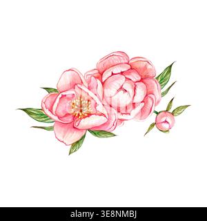 Composizione floreale ad acquerello di peonie, gemme e foglie rosa. Illustrazione Foto Stock