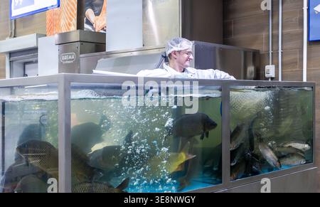 Samara, Russia - 22 marzo 2025: Un supermercato pescivendolo pesca pesci vivi da un acquario. Vendita di pesce fresco vivo presso il reparto di pesce Foto Stock