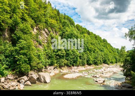 paesaggio con fiume di montagna che attraversa la foresta in estate. vista del rapido ruscello d'acqua con costa rocciosa vicino alle colline boscose. fiume prut in carpentiere Foto Stock