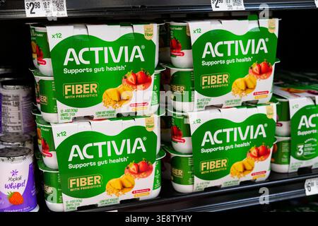 Activia Fiber yogurt Probiotic latticini prodotti visualizzati su negozio di alimentari ripiano refrigerato in sano caseificio Aisle Foto Stock