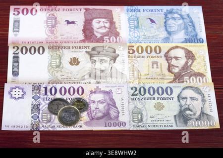 Moneta ungherese - forint - monete e banconote Foto Stock