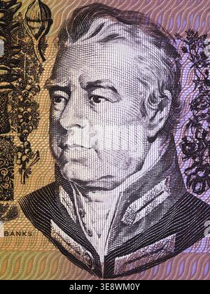 Joseph Banks ritratto da denaro australiano - Dollaro Foto Stock