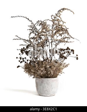 Bouquet di fiori di campo asciutti in vaso di argilla isolato su sfondo bianco. Essiccare le erbe o le erbe del prato selvatico in vaso. Foto Stock