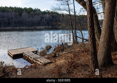 Una piattaforma in legno per pallet sulla riva di un lago forestale. Un lago nella foresta con una piattaforma la sera. La superficie calma del lago. Foto Stock