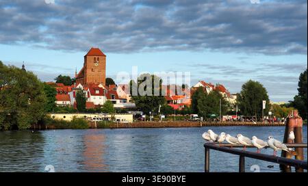 Waren, Germania, 22-08-2017 Descrizione: Vista panoramica dello skyline di Waren Müritz con gabbiani su una ringhiera, Germania. Foto Stock