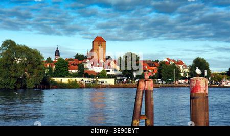 Waren, Germania, 22-08-2017 Descrizione: Veduta del porto di Waren Müritz con chiesa in mattoni rossi e gabbiano, Germania. Foto Stock