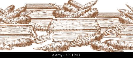 Carota disegnata a mano in una cassa di legno. Bordo senza cuciture con verdure fresche. Stile grafico line art per alimenti biologici Illustrazione Vettoriale