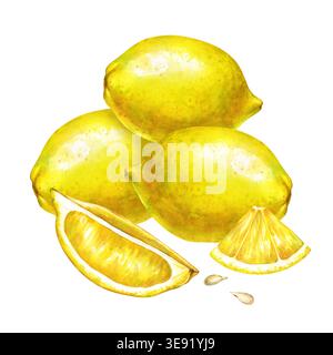 Un vivace acquerello dipinto a mano che raffigura un limone fresco. La composizione con un ammasso di tre limoni gialli interi maturi, nella Foto Stock