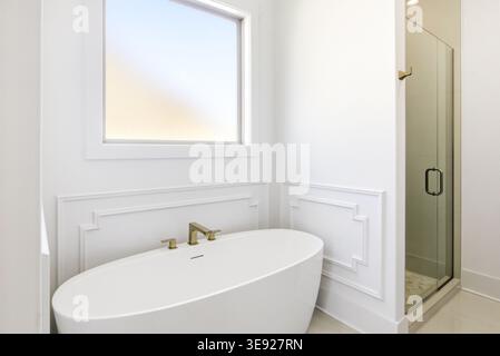 Bagno residenziale pulito con vasca e doccia combinate con finiture neutre in una casa di nuova costruzione. Foto Stock