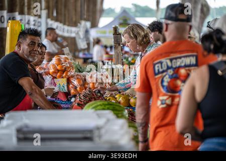 I clienti ispezionano i prodotti freschi coltivati localmente presso il Sumter County Farmers Market all'aperto, adiacente al Webster Flea Market di Webster, Florida. Foto Stock