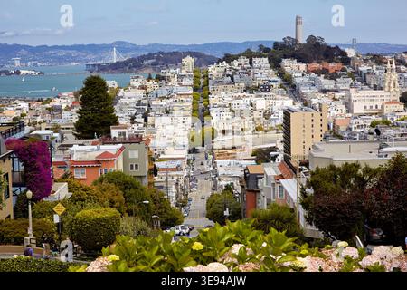 La gente cammina lungo le strade di San Francisco vicino a Telegraph Hill con vedute della Coit Tower e del Bay Bridge sullo sfondo in una giornata limpida. Foto Stock