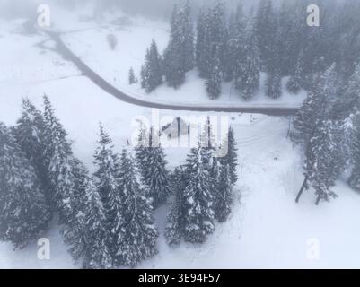 Vista aerea di pini innevati e auto parcheggiate con una persona che cammina vicino a una strada tortuosa tra le nebbiose montagne dolomitiche Rocca Pietore, Venet Foto Stock