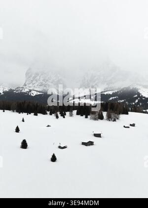 Veduta aerea dell'Alpe di Siusi con capanne in legno su un campo innevato e pini sotto lo sfondo nebbioso della Provincia autonoma di Bolzano Foto Stock