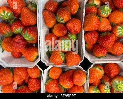 fragole fresche in una scatola in un supermercato Foto Stock