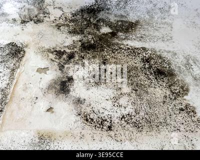 Muffa nera che cresce sulle pareti della casa causando danni umidi Foto Stock