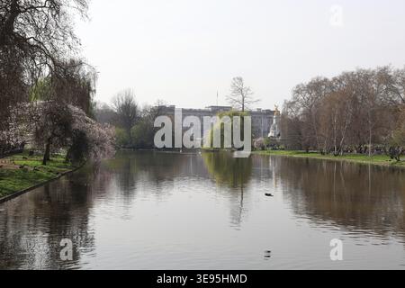 Una vista di Buckingham Palace dal lago di St James' Park nel centro di Londra, in Gran Bretagna. Foto Stock