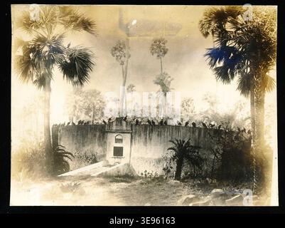La Torre del silenzio di Bombay, fotografata nel 1905, è una struttura chiave dello zoroastrismo utilizzata per l'esposizione del defunto. Questa fotografia, scattata all'inizio del XX secolo, offre un raro scorcio sulla forma architettonica di questo sito sacro, che è parte integrante dei riti di sepoltura zoroastriani. Foto Stock