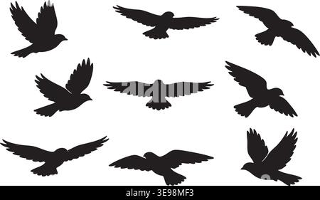 Silhouette di uccelli in volo isolate su bianco con più posizioni delle ali Illustrazione Vettoriale