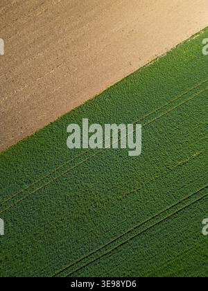 La vista aerea cattura un campo agricolo con diverse aree di prodotto. Colpo dall'alto verso il basso Foto Stock