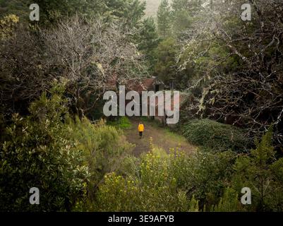 Vista aerea di una persona in giacca gialla che cammina verso cottage abbandonati in pietra con tetti arrugginiti annidati in una fitta foresta a Madeira, Portogallo. Foto Stock
