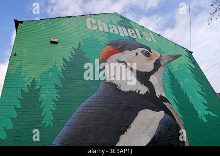 Murale di Chapel Street Levenshulme, artista Richard Preston, Manchester, Inghilterra, Regno Unito. Foto Stock