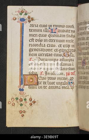 Horae (XV secolo) è un manoscritto religioso polacco, riccamente illuminato e contenente preghiere per la devozione personale. Il manoscritto, creato nel XV secolo, misura 108x70 mm ed è stato progettato per l'uso privato della preghiera. Questa fotografia d'archivio cattura le intricate illuminazioni e offre informazioni sulla storia religiosa polacca. Foto Stock