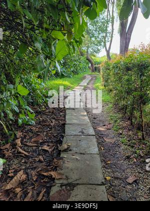 Il sentiero in pietra si snoda attraverso il verde giardino. Le foglie coprono il terreno accanto al passaggio pedonale. Alberi e cespugli fanno da cornice al sentiero. La luce solare filtra attraverso il tettuccio sopra. PA Foto Stock