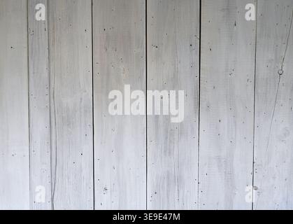 Rivestimento in legno verniciato bianco con grana visibile, crepe lunghe, nodi, teste dei chiodi e teste a vite in una luce naturale irregolare Foto Stock