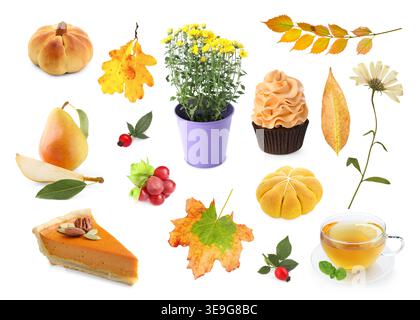 Collage autunnale con dolci e foglie di stagione su sfondo bianco Foto Stock