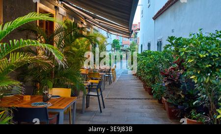 Accogliente terrazza ristorante all'aperto in una strada stretta con lussureggianti piante tropicali e palme a Puerto de la Cruz, Tenerife, Isole Canarie, Spagna. Foto Stock