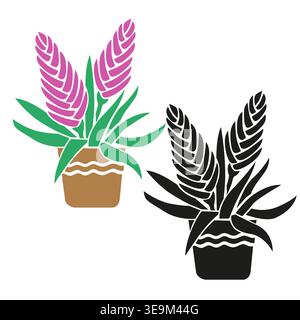 Piante di casa rosa Tillandsia Cyanea Fiori in vaso, con silhouette colorate e nere, moderno vettore stilizzato di piante tropicali da interno Illustrazione Vettoriale