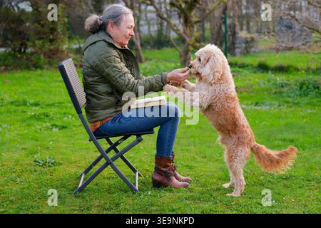 Der treue Begleiter. Die Hundebesitzerin mit ihrem jungen Cockapoo . Siegsdorf Bayern Deutschland *** il fedele compagno il proprietario del cane con il suo giovane Cockapoo Siegsdorf Baviera Germania Copyright: XRolfxPossx Foto Stock