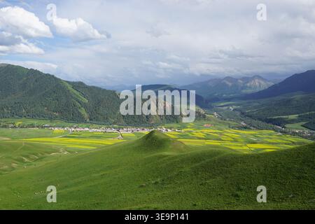 Vista panoramica del monte Zhuo'er con campi di colza in fiore e valli boscose a Qinghai, Cina Foto Stock