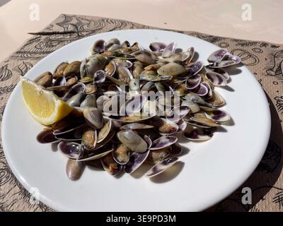 Un piatto bianco ripieno di vongole cotte, con conchiglie viola e grigie tipiche. Il piatto è guarnito con un cuneo di limone fresco e servito o Foto Stock