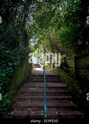Una scala che porta ad una foresta verde. I gradini sono in pietra e la ringhiera è in metallo Foto Stock
