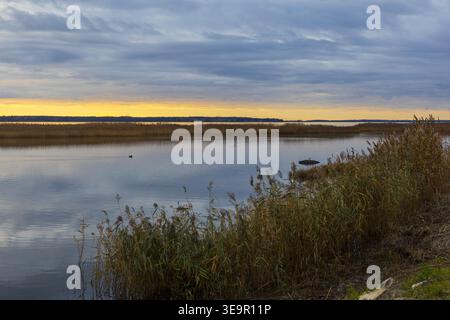 Acqua naturale con canne e luce soffusa all'orizzonte. Tranquillo scenario costiero del Baltico. Foto Stock