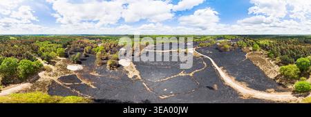 Vista aerea del campo di erica completamente bruciato tra alberi parzialmente bruciati, una settimana dopo il devastante incendio boschivo nell'aprile 2020, in un panorama a 360 gradi, Foto Stock