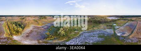 Vista aerea dei laghi completamente secchi di Steenhaarplassen durante l'estate estremamente secca del 2018 con foreste e campi di erica, con un panorama a 360 gradi Foto Stock