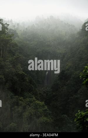 Numerose cascate che si arrampicano su rocce muschiate a Sekumpul, Bali Foto Stock